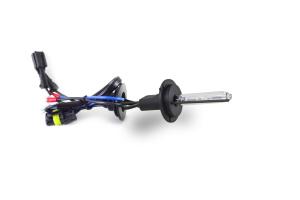 Ксеноновая лампа Sho-Me H7 6000K